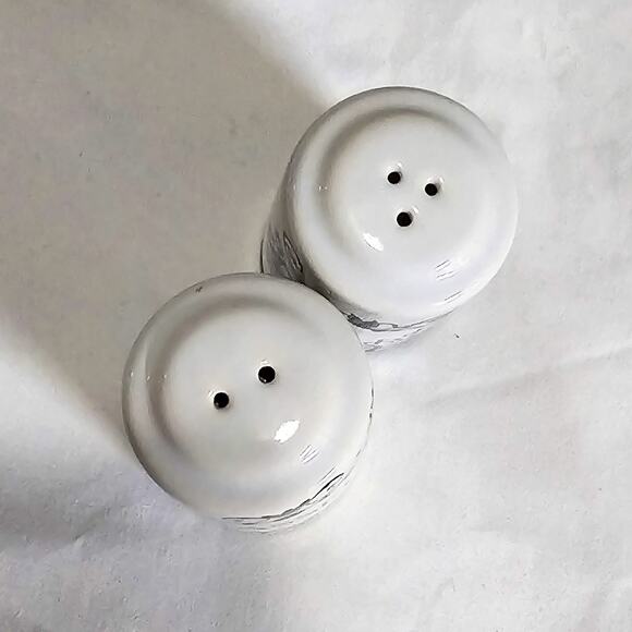 Owlcrate New French Aesthetic Salt & Pepper shakers - Picture 3 of 12